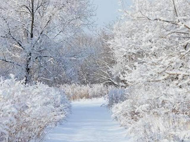 Inverno