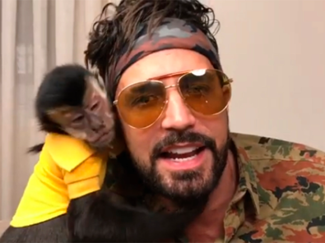 macaco nft? bicho, compra macaco de verdade kkk se liga