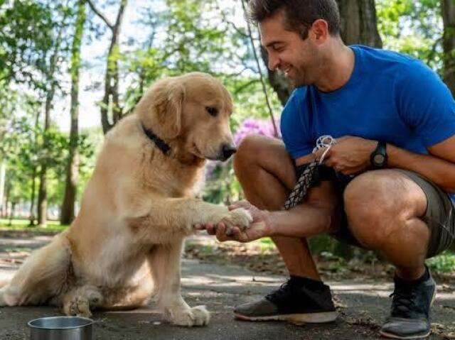 Fica brincando com o cachorro