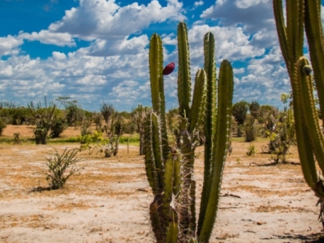 País Julieti🌵🌵