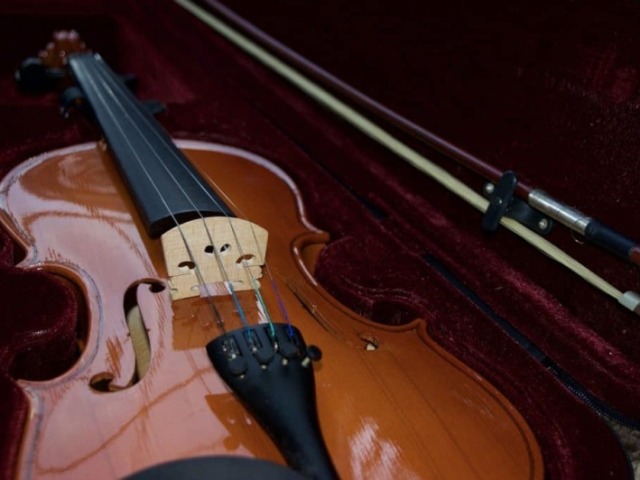 Violino