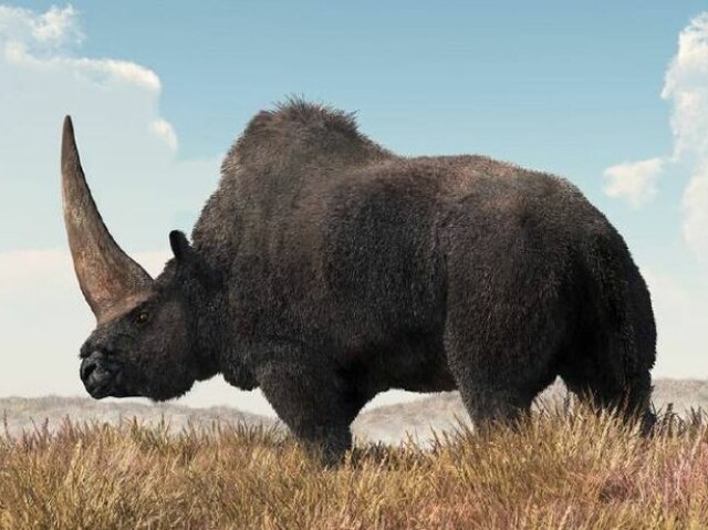 Elasmotherium