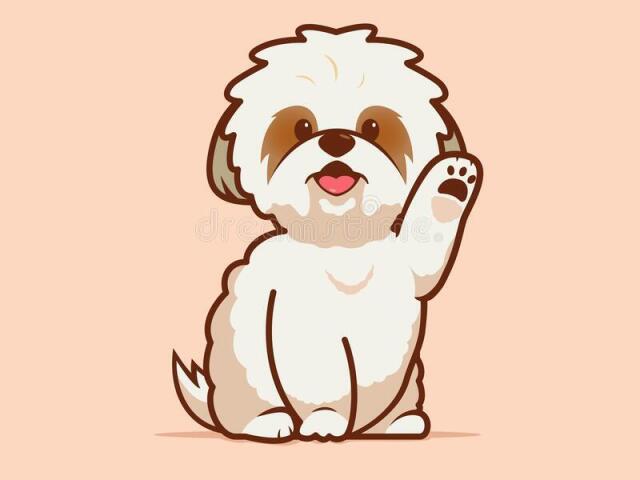 Cachorro