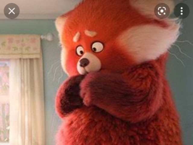 Panda vermelho