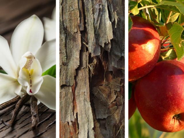 Seu aroma ideal inclui notas de... Baunilha, Cedro e Maçã