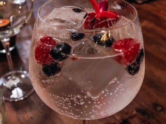 Soda com vodka e frutas silvestres.