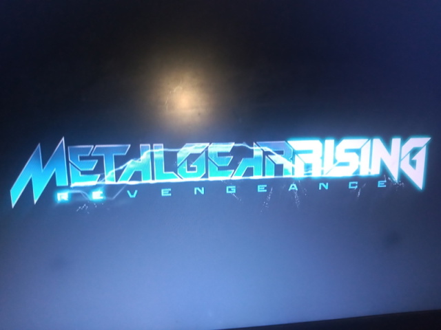 Metal gear rising