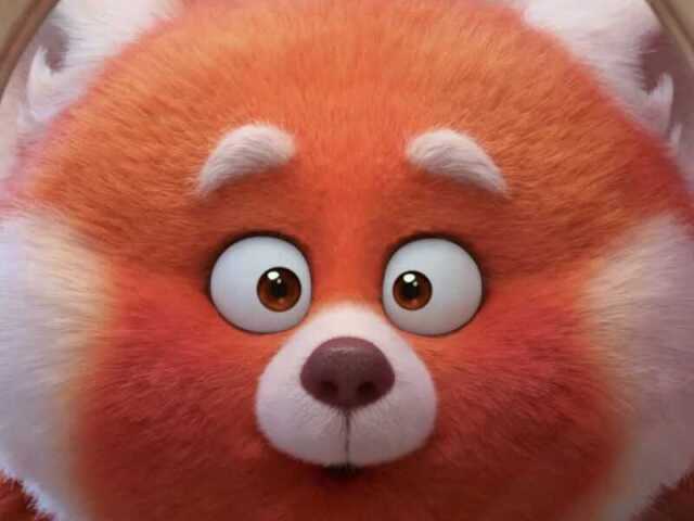 Panda Vermelho!