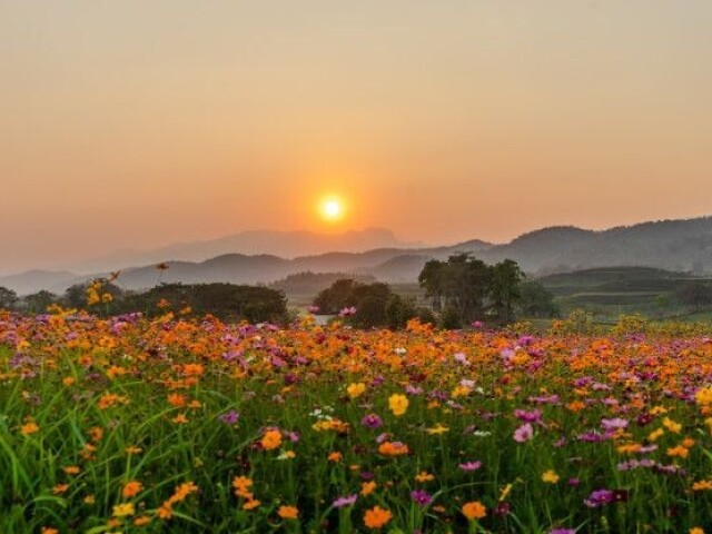 Campo e nascer do sol