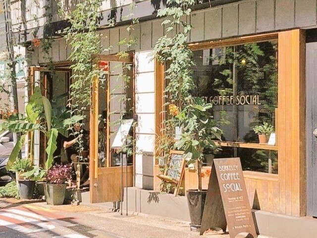 Monte sua cafeteriađ„šâ