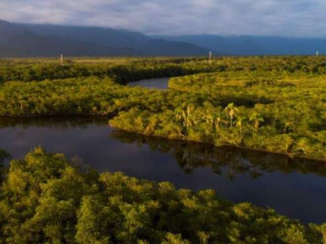 Floresta Equatorial