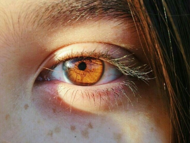 π€ castanho claro