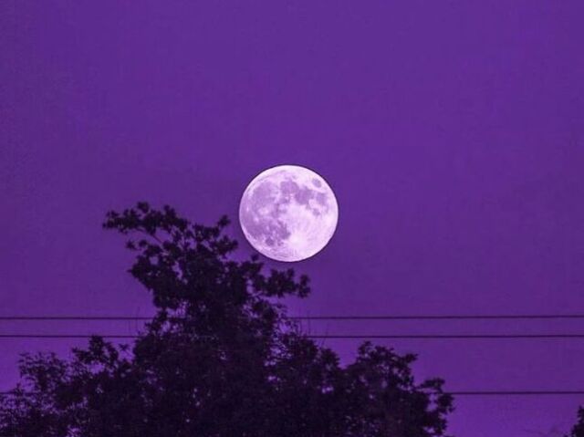 🌕