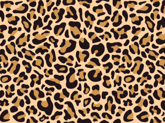 Leopardo