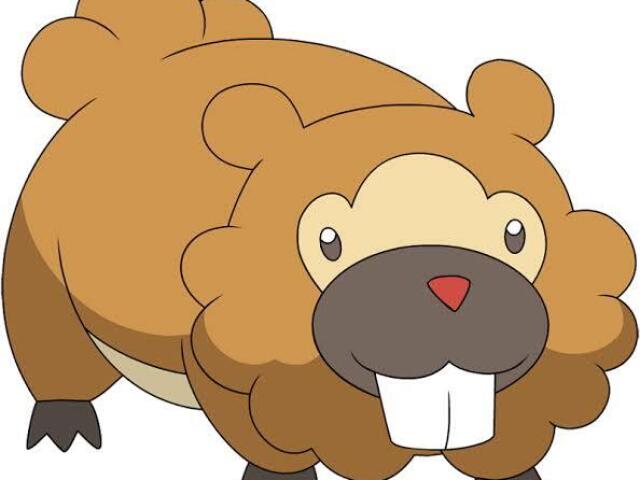 Bidoof