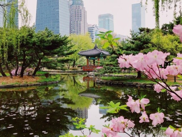 Crie a sua viagem na Coreia do Sul!