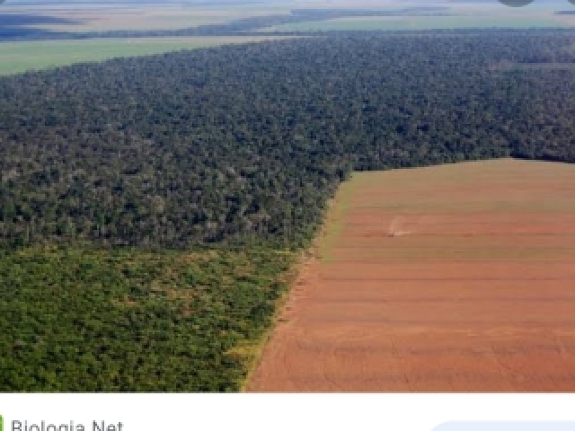 Assegurar o melhor manejo dos recursos naturais de forma que lhes afetam o futuro.