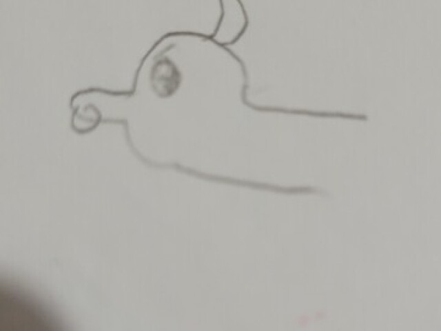 Fofo