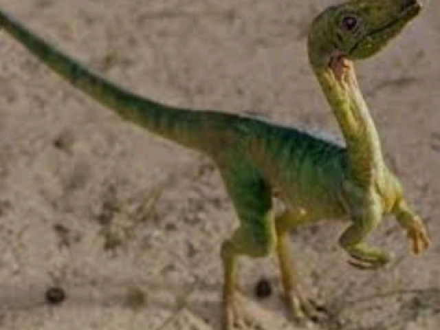 Canpisoginator