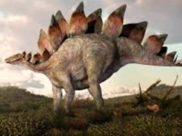 Estegossauro