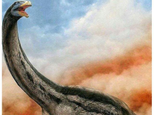 Qual dinossauro você seria?