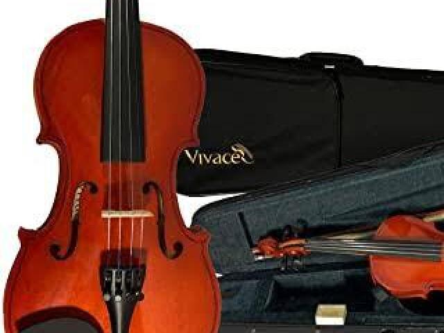 Violino