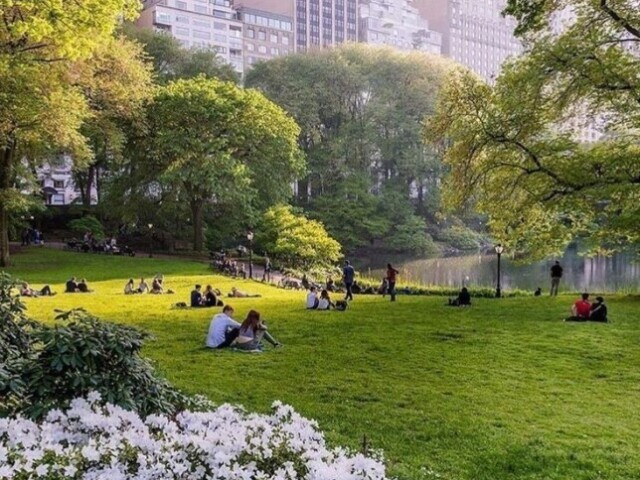 Central park ;)