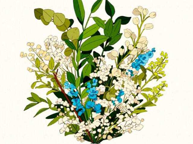 kalanchoe branca + jacinto
