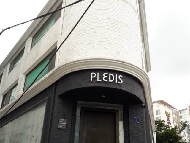 pledis;