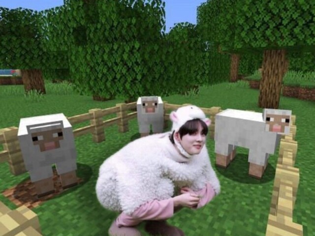 🤍