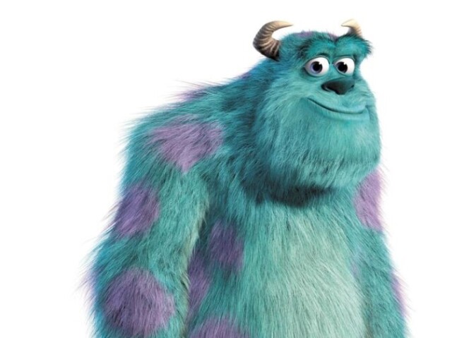 15. Sulley peludão