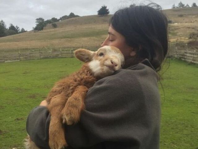 energetic, louco que é, adora o parque, é um de seus lugares favoritos. Pulou e correu o dia inteiro, pulou em você e qualquer um que ousasse cruzar seu caminho, tentou comer um galho e caiu no lago (KJAAKKKK) e logo após muito brincar e de muita energia gastar, o pequeno carneiro se cansou um pouco, fazendo você o pegar no colo. (foto)