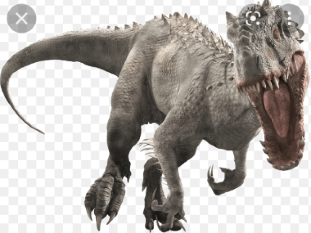 Imdominus rex