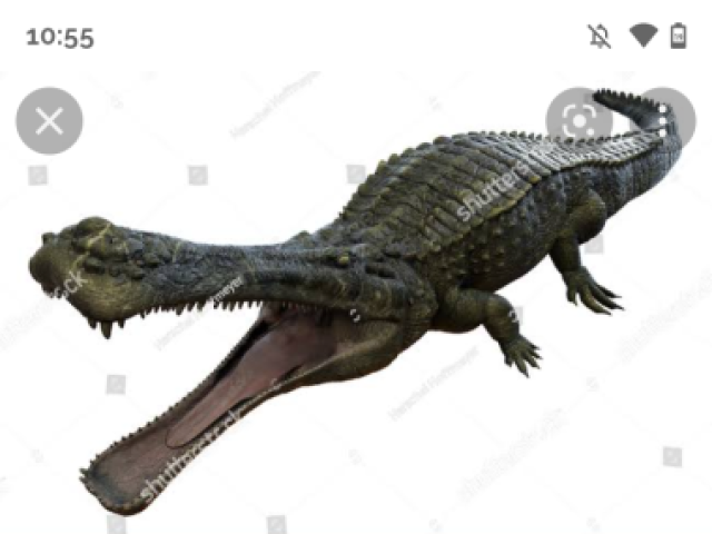 Sarsosuchus