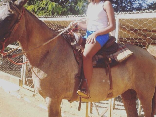 andar a cavalo ❤