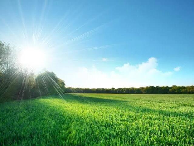 Em um campo com visão pro nascer do Sol e uns morrinho