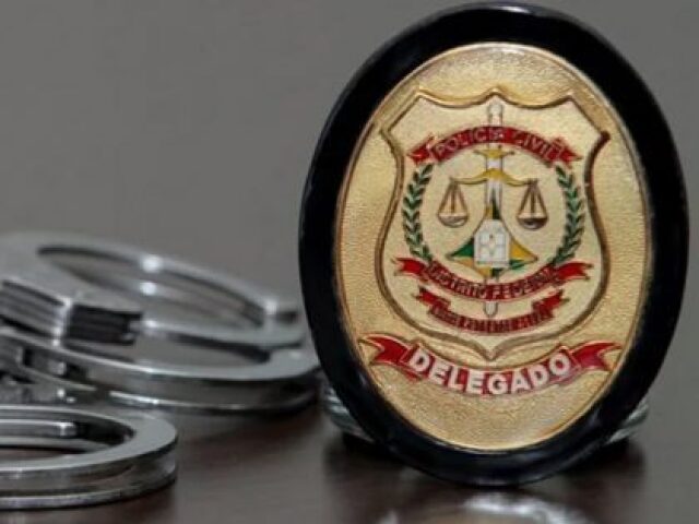 Delegado(a)