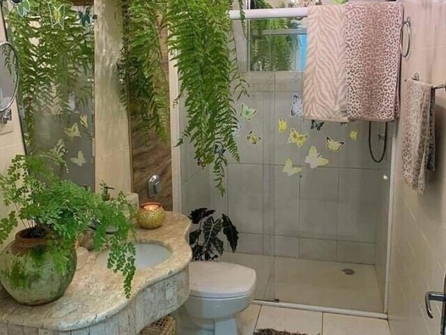. 🌵.