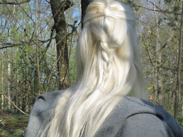 Eu sou elegante e tenho orelhas pontudas, meu cabelo é geralmente de um tom mais claro🧝♂️🏹
