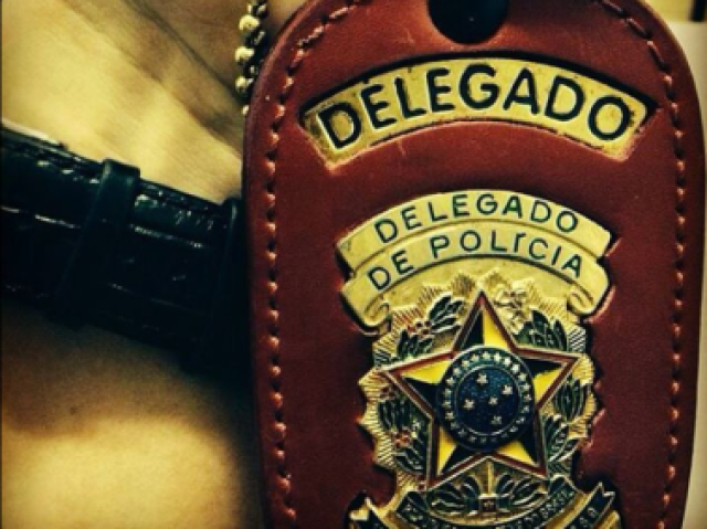 Delegado(a)
