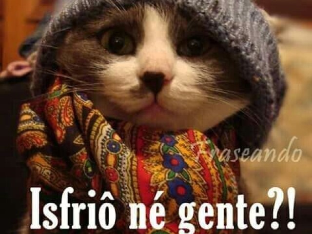 Frio