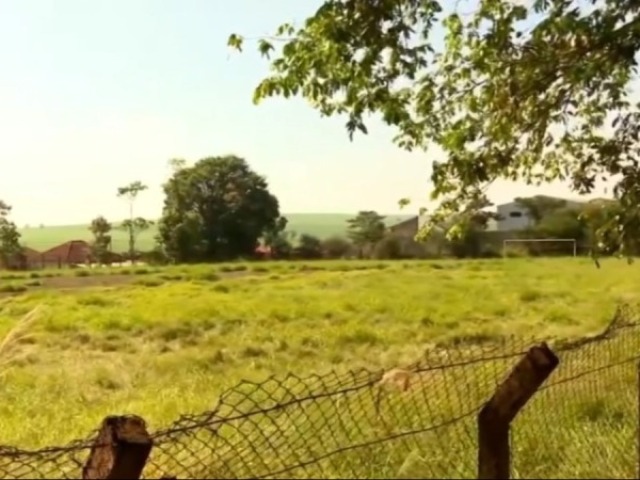 Campo
