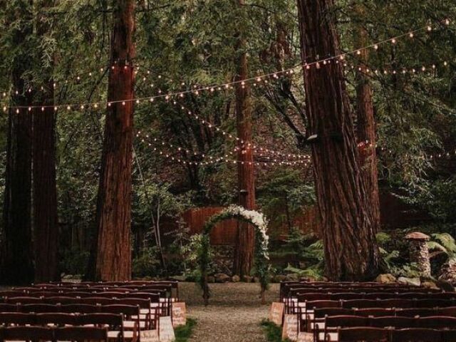 Casamento do Tarzan, no meio da mata