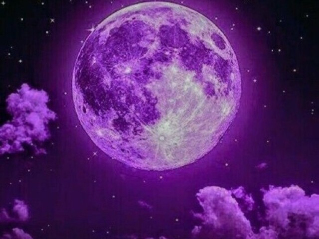 Roxo✨💜