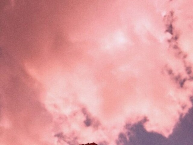 Rosa✨💗