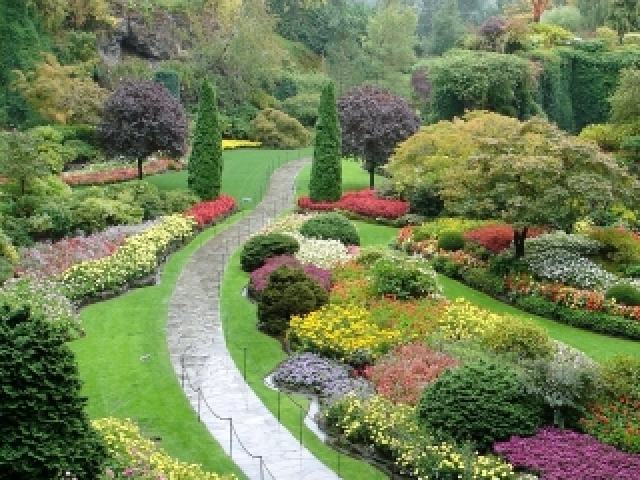 Jardim πΌ