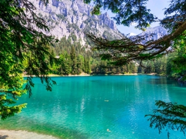 Lago π