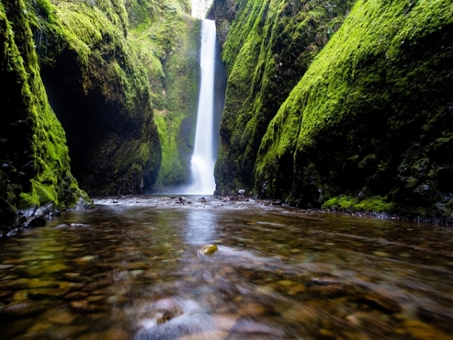 Nature (agua e terra)