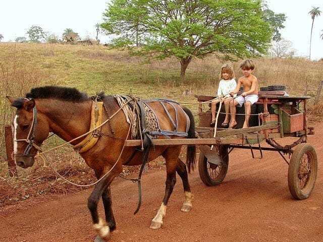 Mattos e Alessandra numa carroça