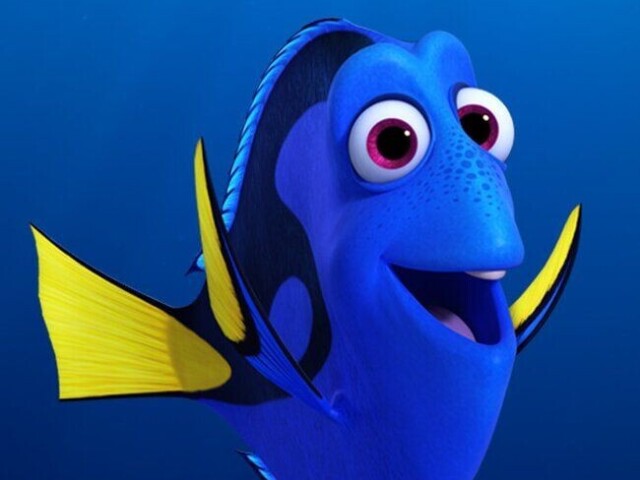 Dory